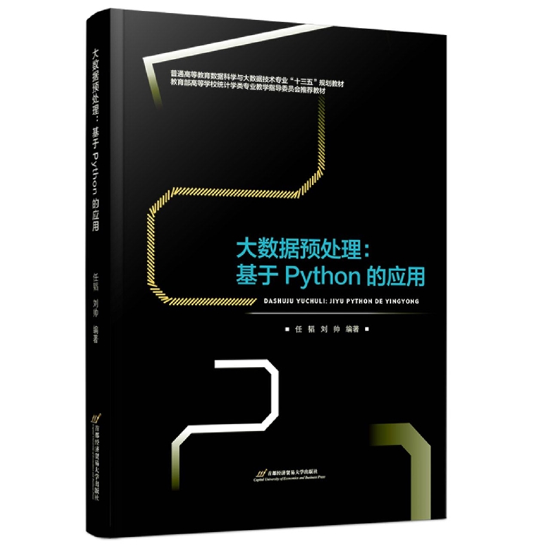 大数据预处理—基于Python的应用