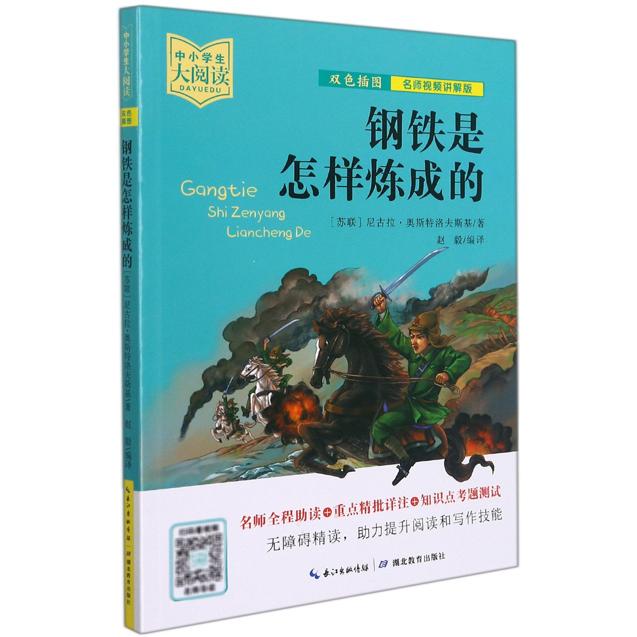 钢铁是怎样炼成的/中小学生大阅读:名师视频讲解版