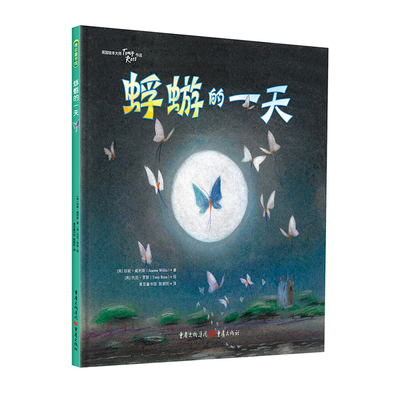 蜉蝣的一天