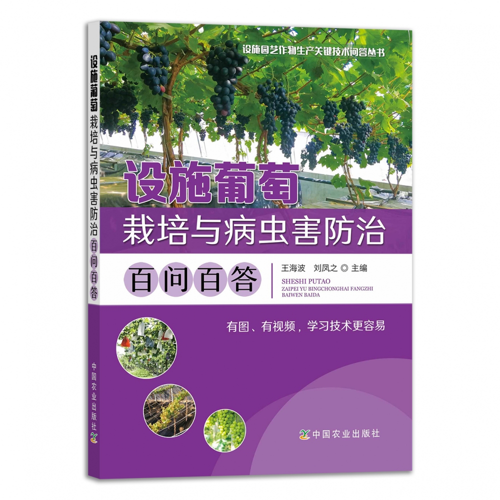 设施葡萄栽培与病虫害防治百问百答