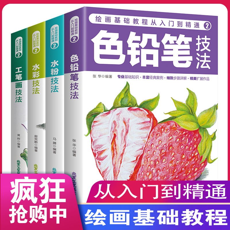 绘画基础教程从入门到精通2：（全四册）