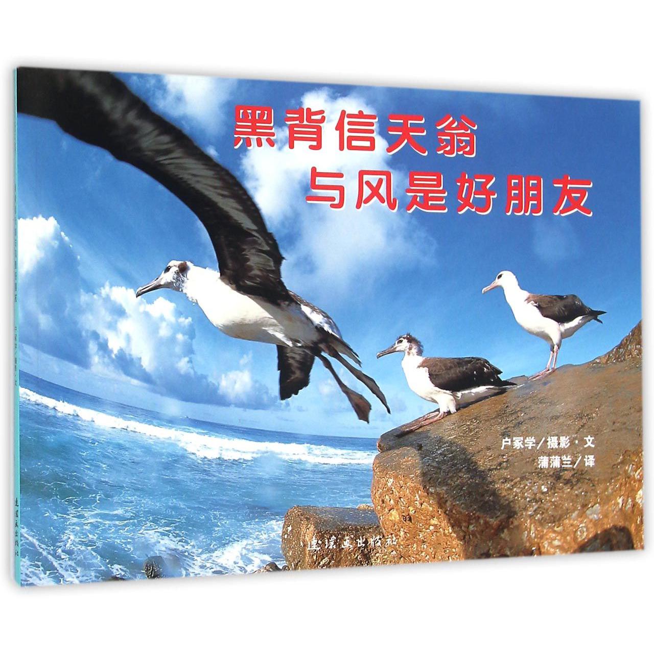 黑背信天翁与风是好朋友/蒲蒲兰绘本馆