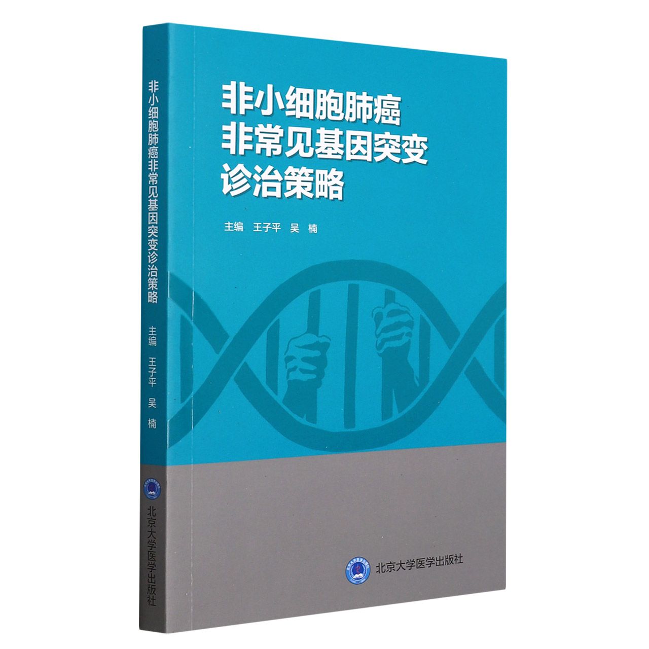 非小细胞肺癌非常见基因突变诊治策略（2020北医基金）