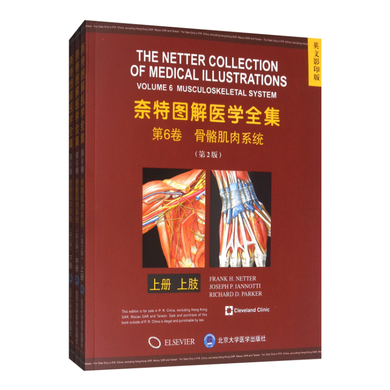 奈特图解医学全集(第6卷骨骼肌肉系统上中下)(英文影印版)