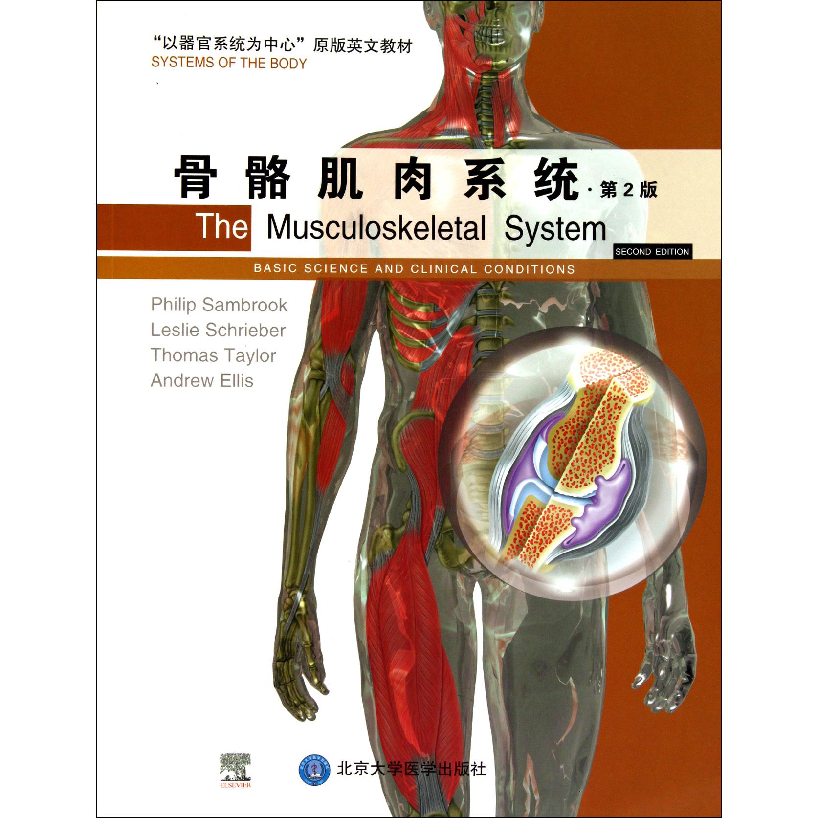 骨骼肌肉系统（第2版以器官系统为中心原版英文教材）