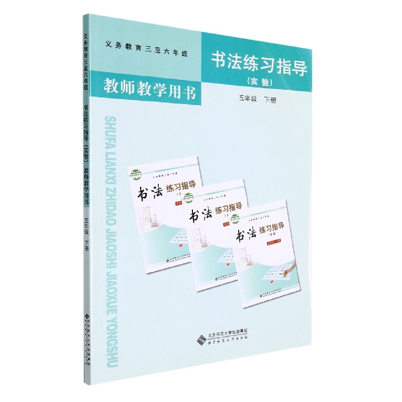 书法练习指导教师教学用书（附光盘实验5下义教3至6年级）