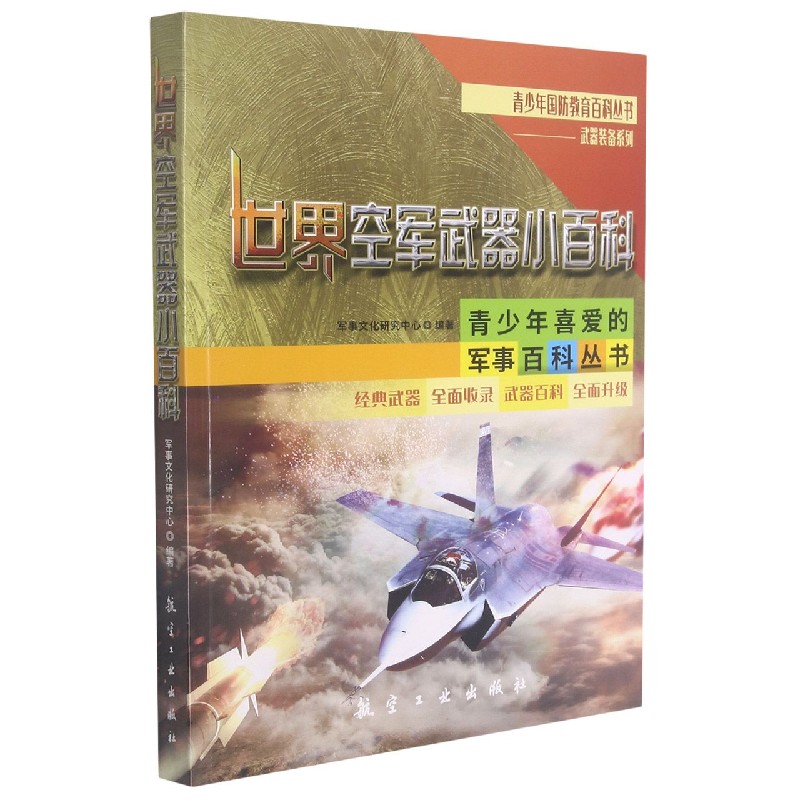 世界空军武器小百科/武器装备系列/青少年国防教育百科丛书