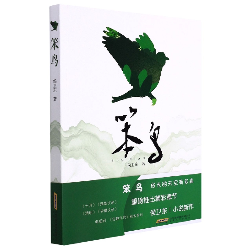 笨鸟