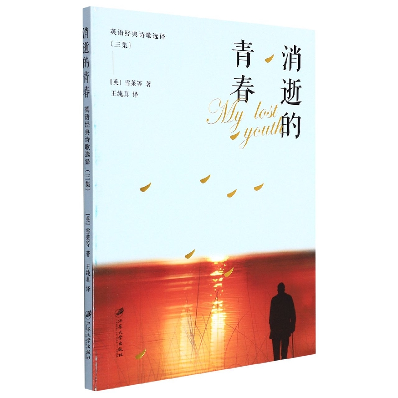 消逝的青春:英语经典诗歌选译:三集