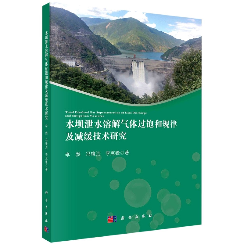 水坝泄水溶解气体过饱和规律及减缓技术研究