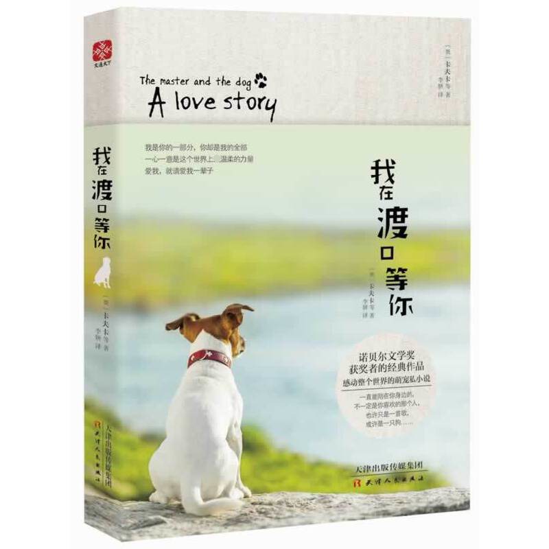 我在渡口等你