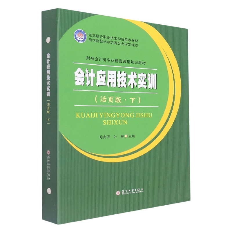 会计应用技术实训（活页版  下）