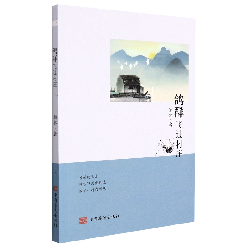鸽群飞过村庄