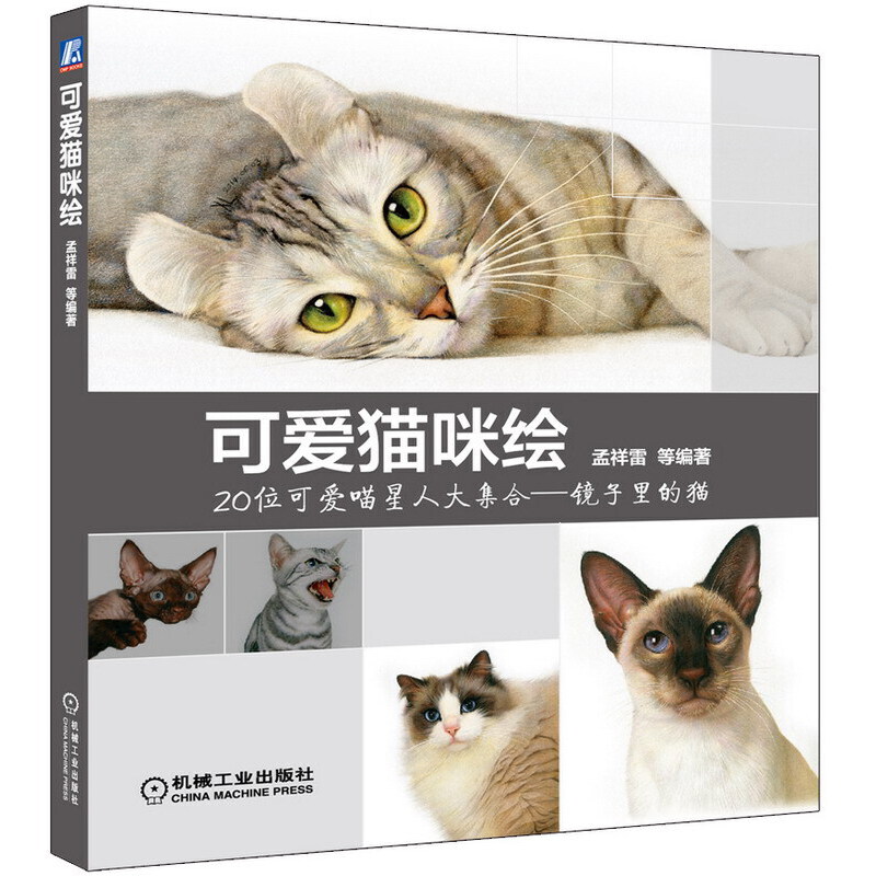 可爱猫咪绘（20位可爱喵星人大集合镜子里的猫）