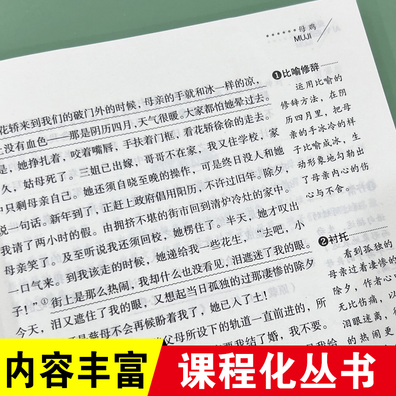 无障碍精读版-母鸡