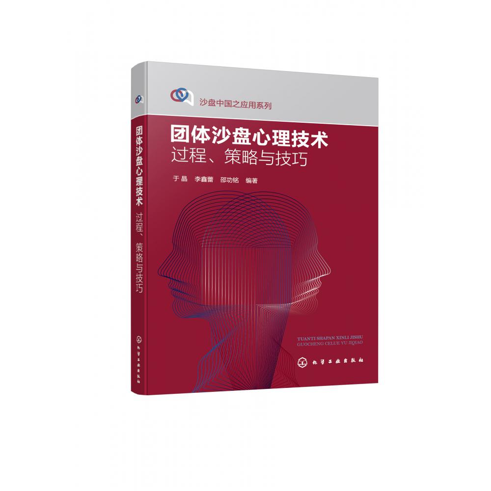 沙盘中国之应用系列--团体沙盘心理技术：过程、策略与技巧