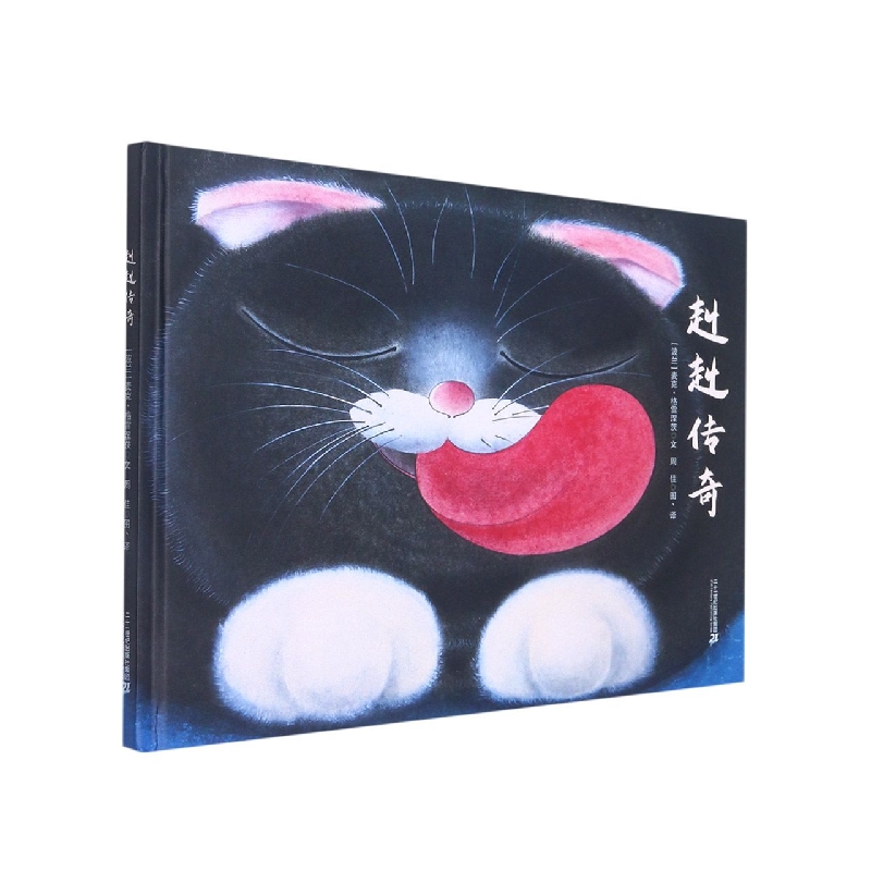 赳赳传奇(精)