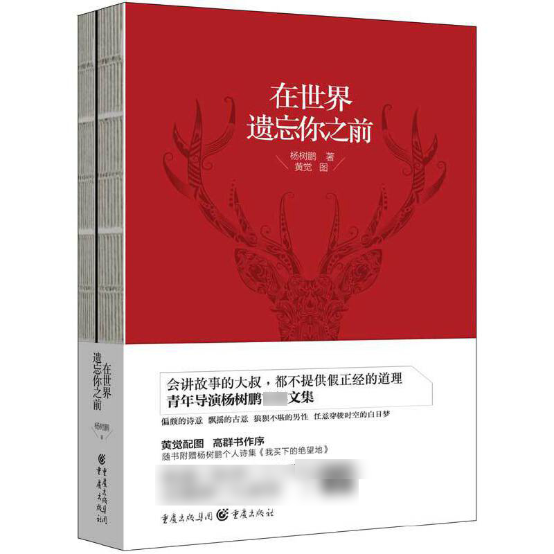 在世界遗忘你之前