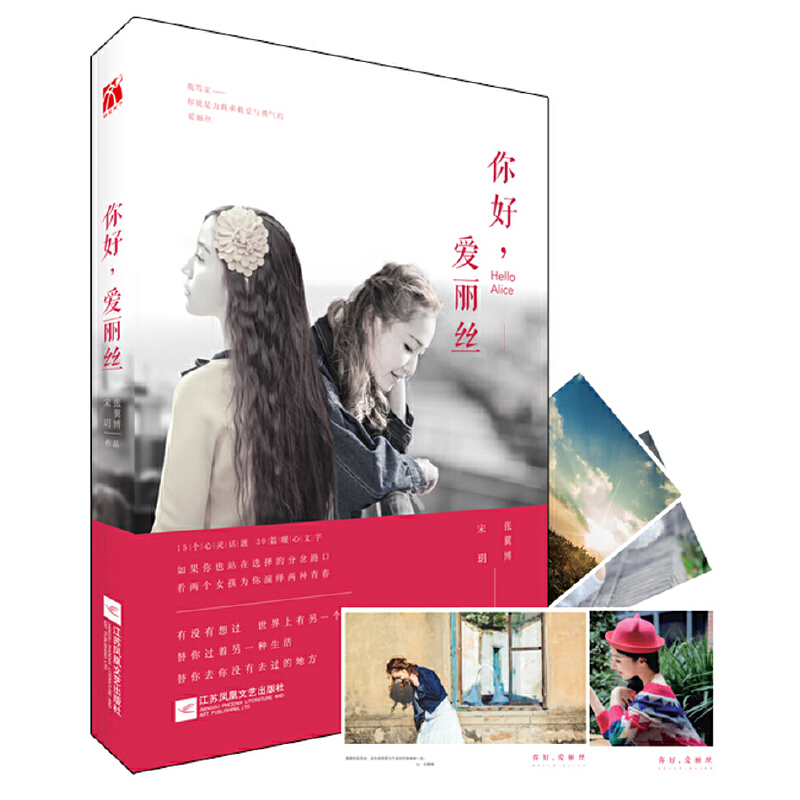 你好爱丽丝
