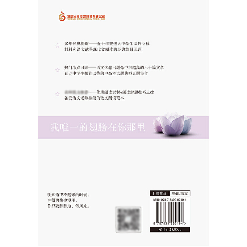 我唯一的翅膀在你那里