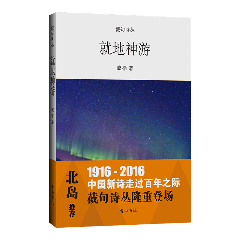 就地神游(精)/截句诗丛