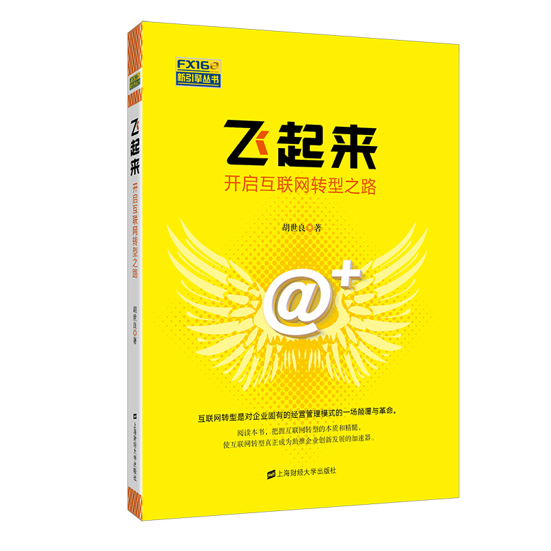 飞起来（开启互联网转型之路）/FX168新引擎丛书