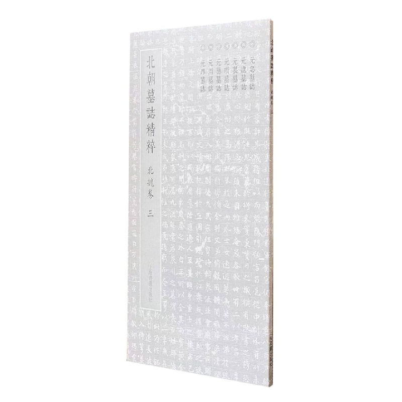北朝墓志精粹·北魏墓誌精粹三