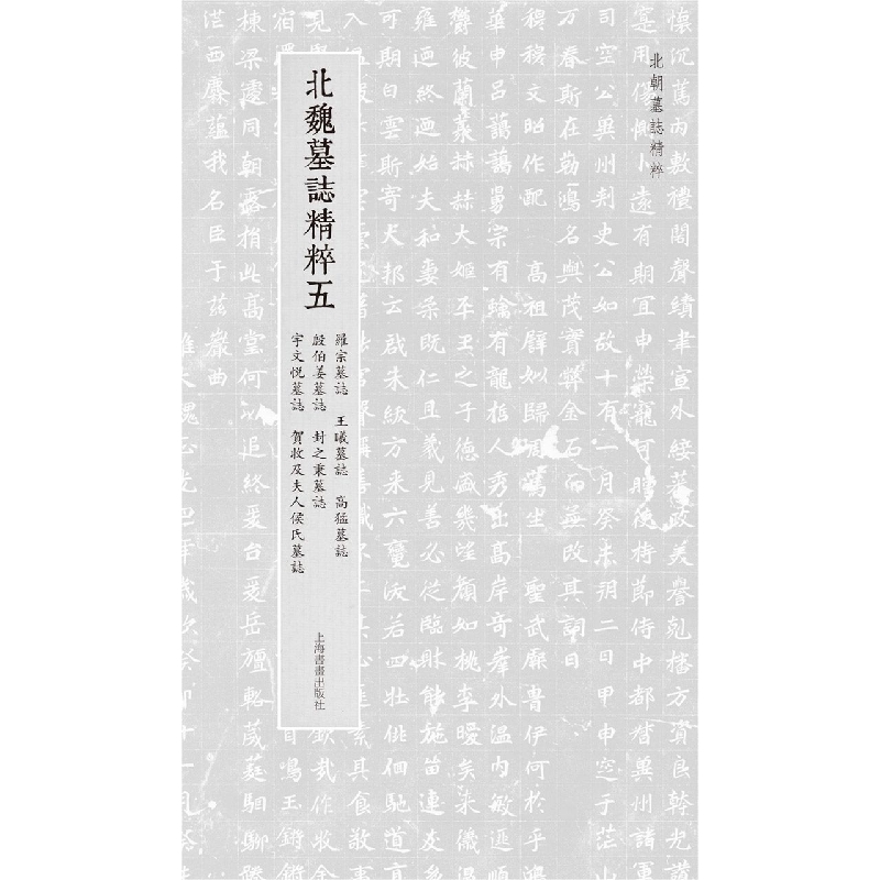 北朝墓志精粹·北魏墓誌精粹五