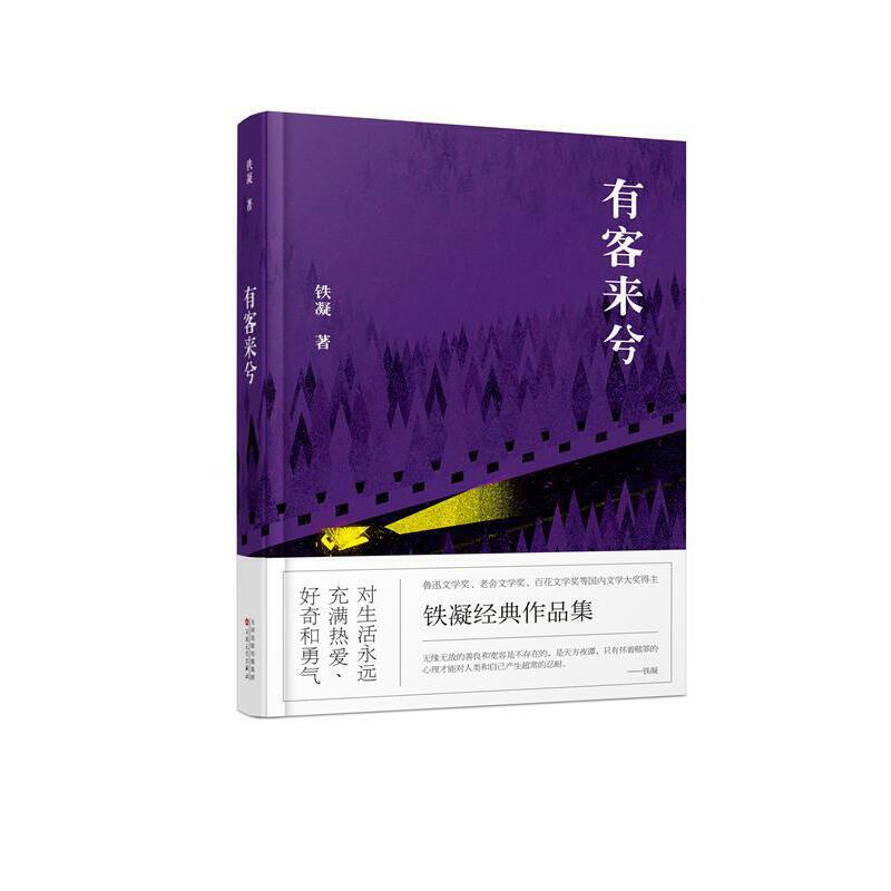 有客来兮(精)