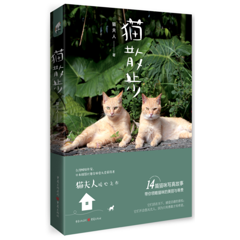 猫散步