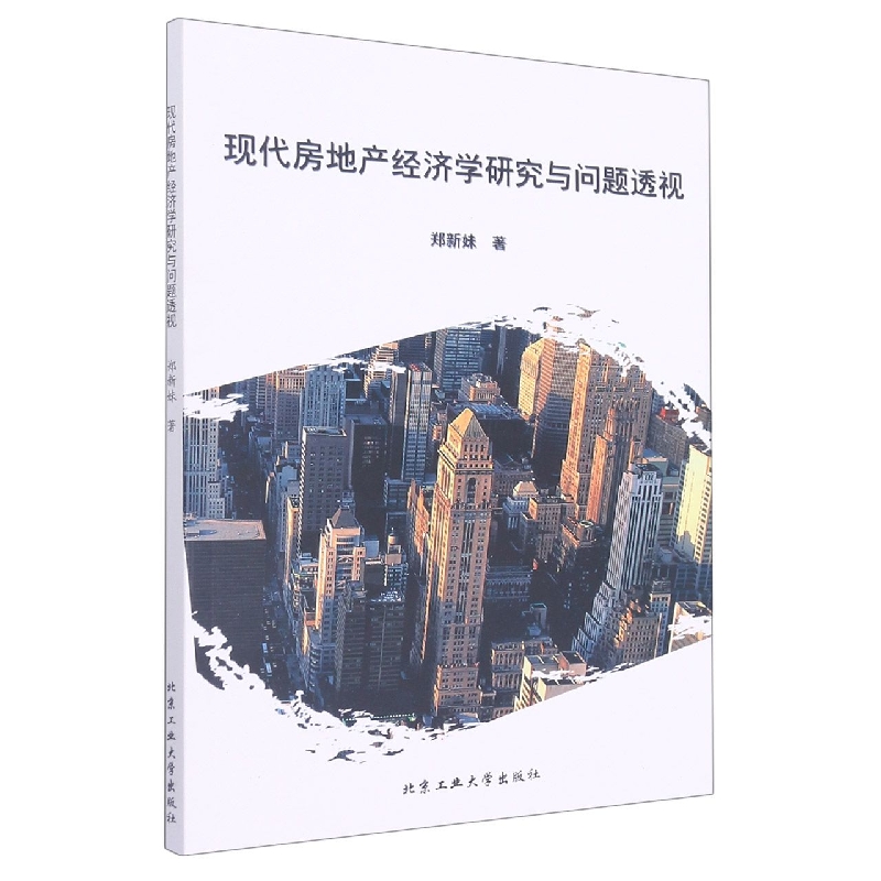 现代房地产经济学研究与问题透视