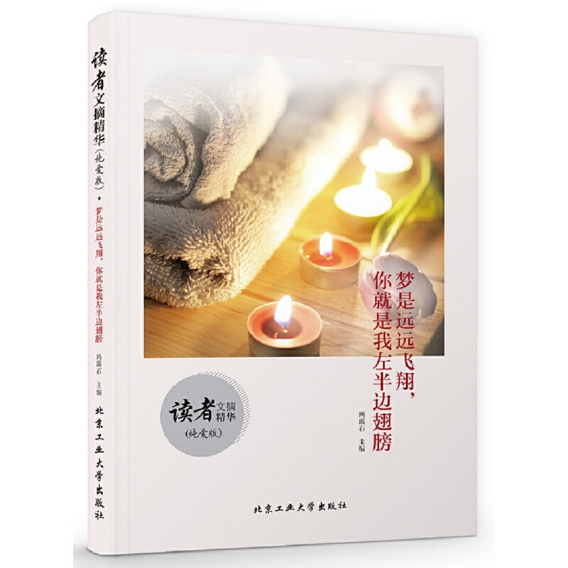 梦是远远飞翔你就是我左半边翅膀(纯爱版)
