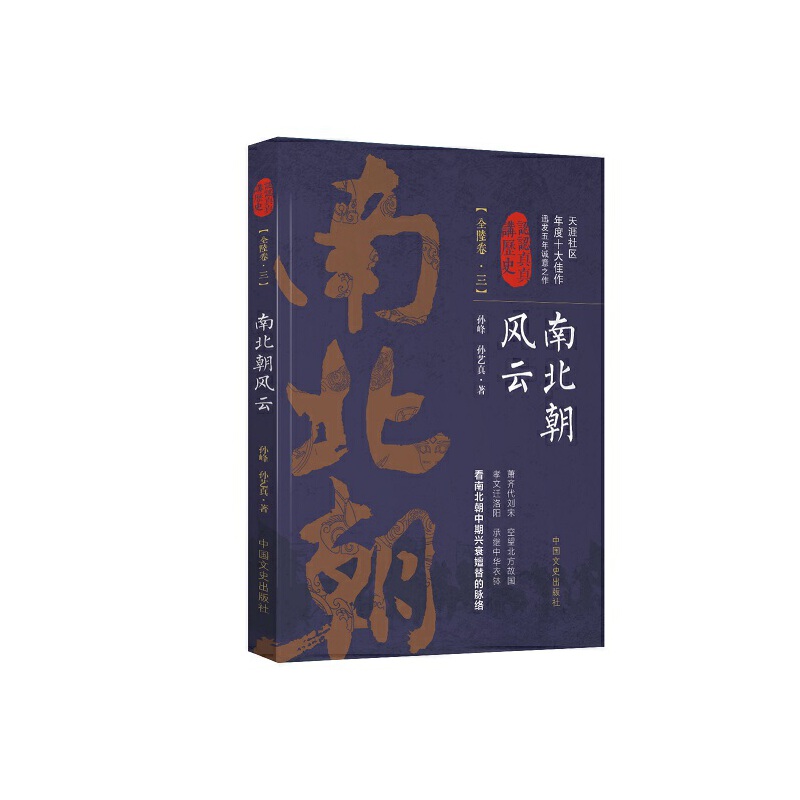 南北朝风云（3）/认认真真讲历史