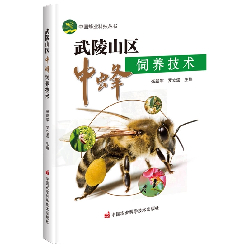 武陵山区中蜂饲养技术
