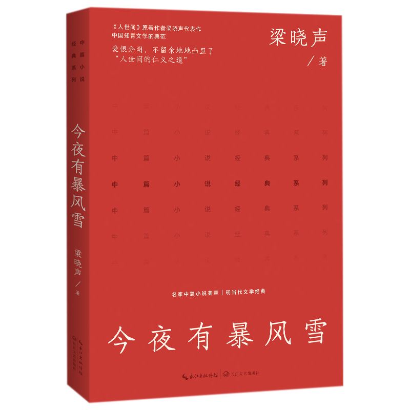 今夜有暴风雪(中篇小说经典系列)