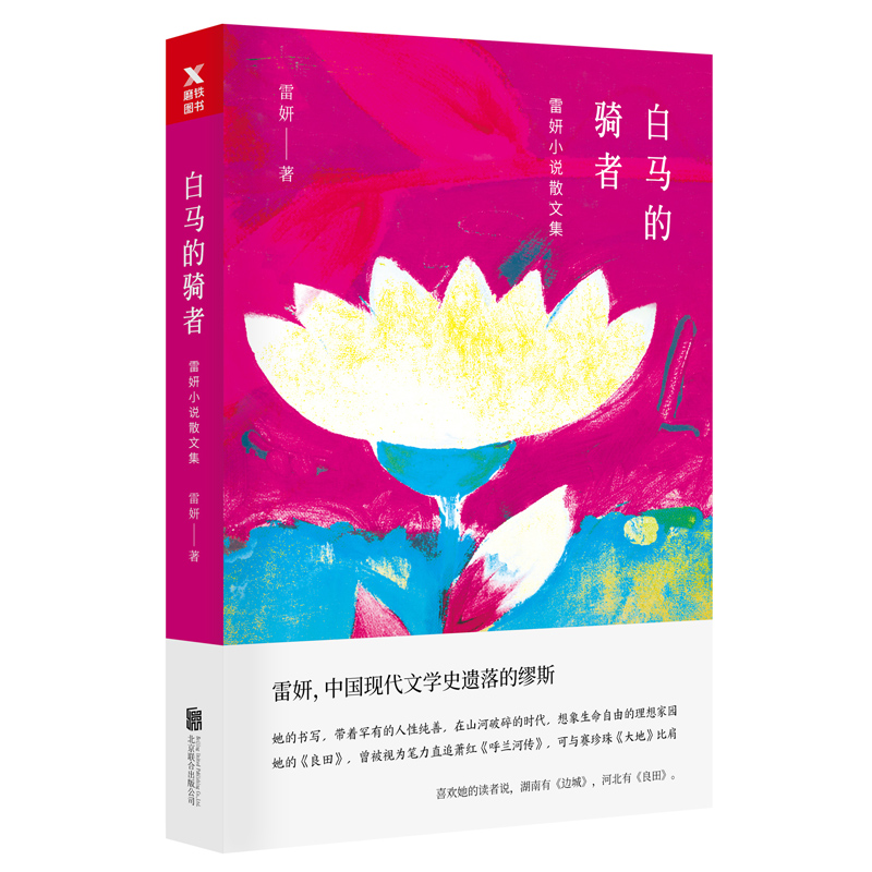 白马的骑者(雷妍小说散文集)