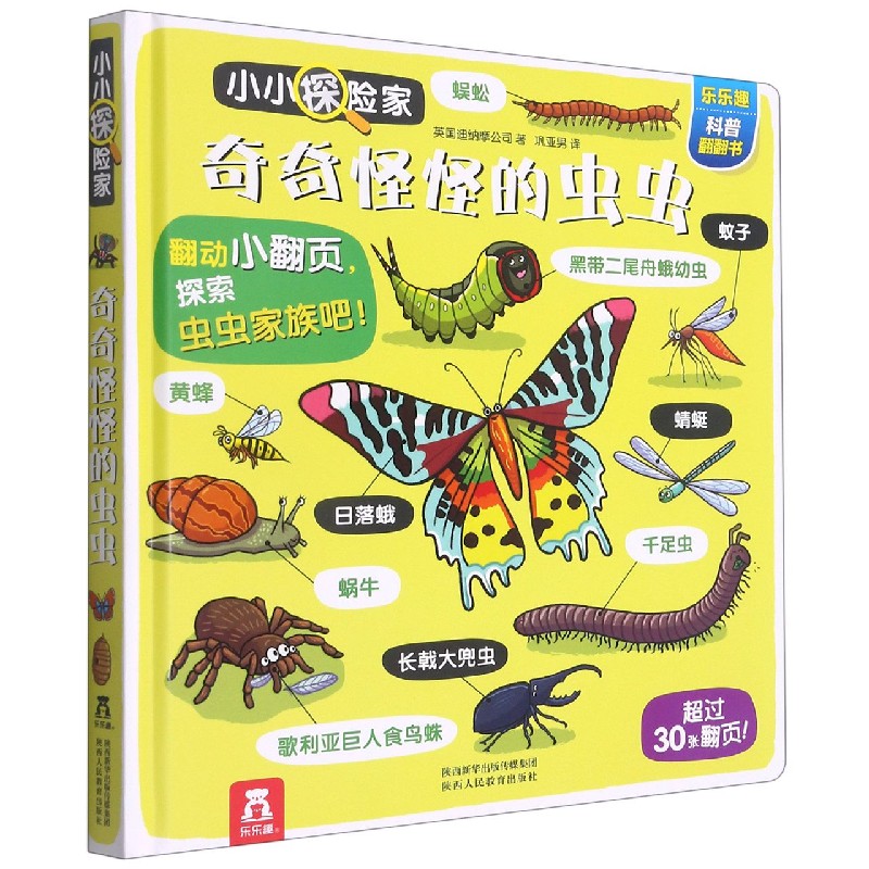 奇奇怪怪的虫虫(精)/小小探险家