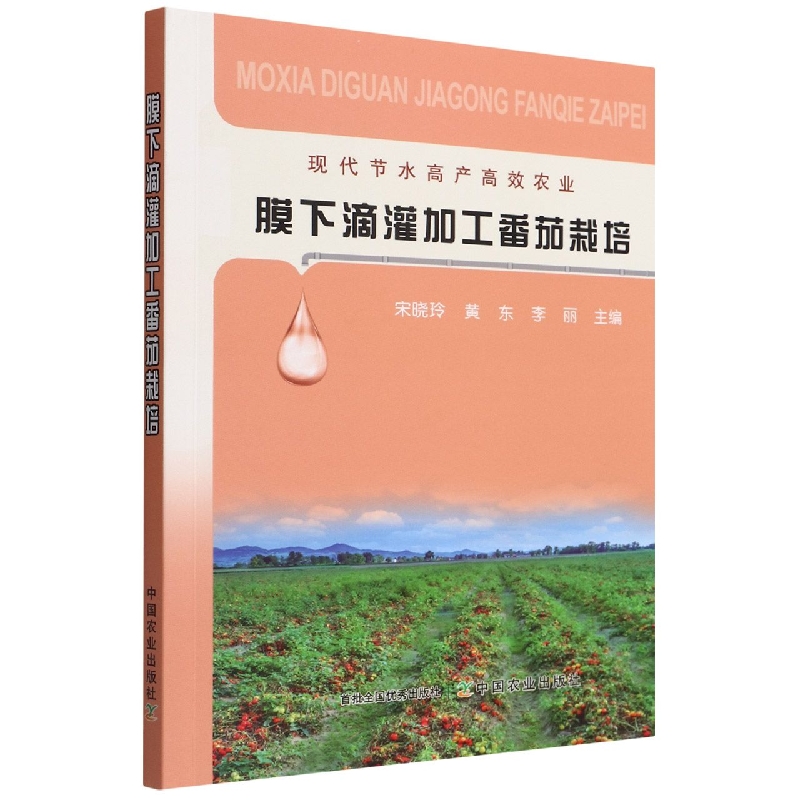 膜下滴灌加工番茄栽培