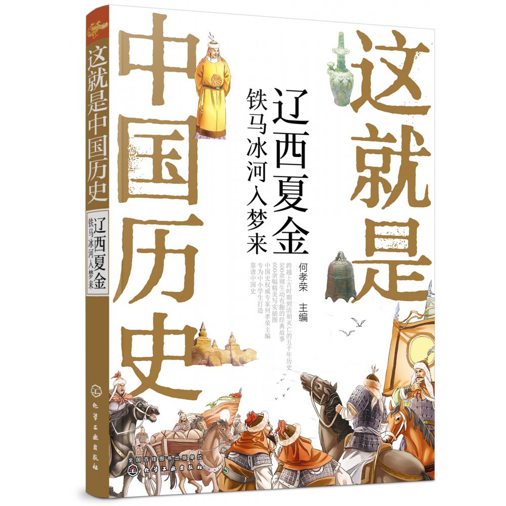 这就是中国历史(辽西夏金铁马冰河入梦来)