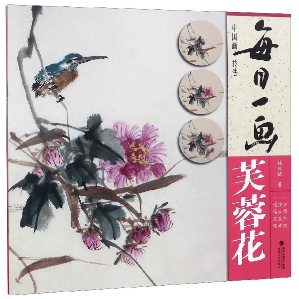 每日一画(芙蓉花)/中国画技法