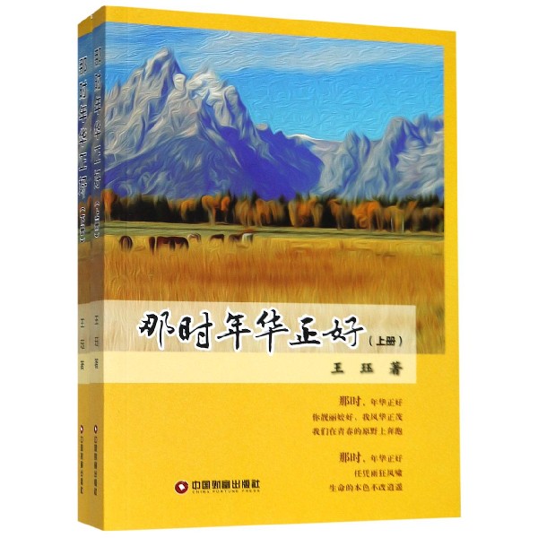 那时年华正好(上下)