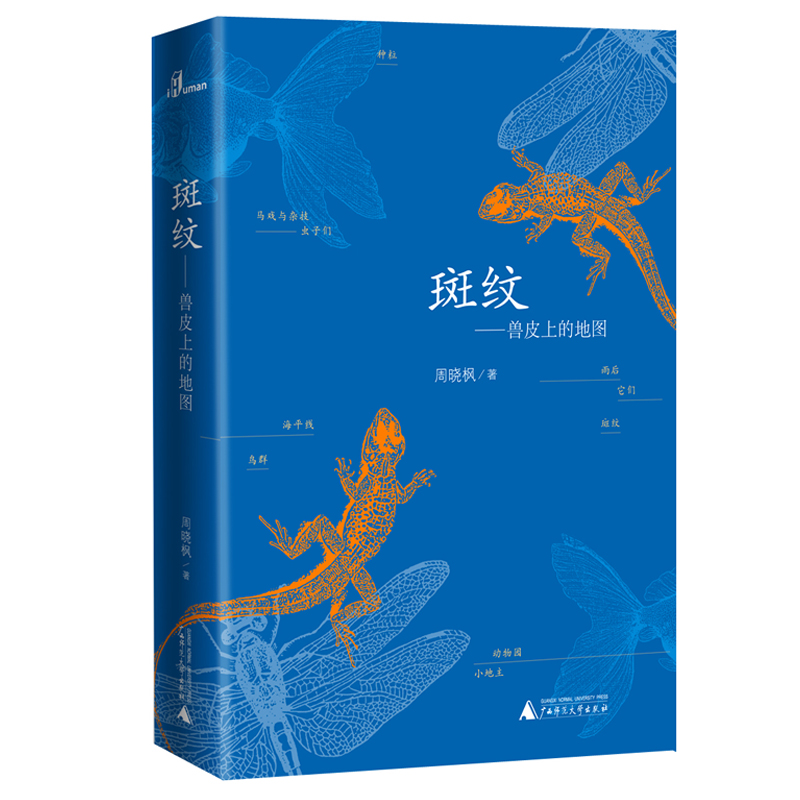 斑纹--兽皮上的地图(精)