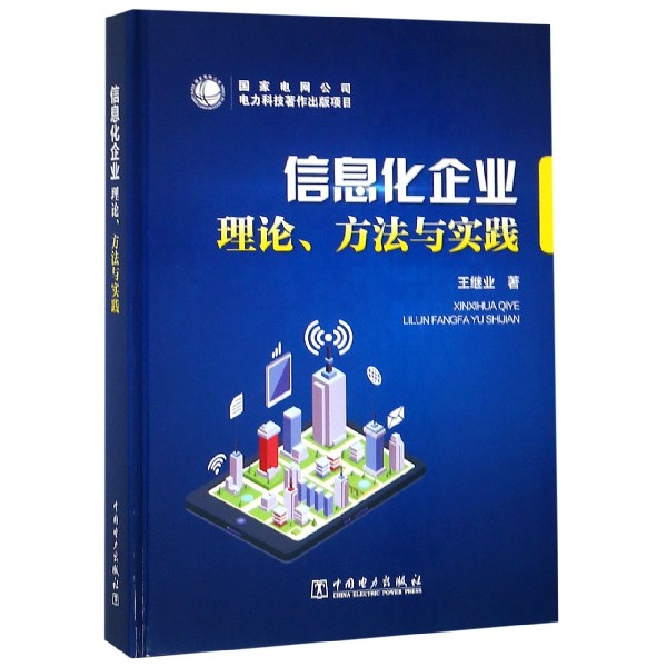 信息化企业理论方法与实践(精)