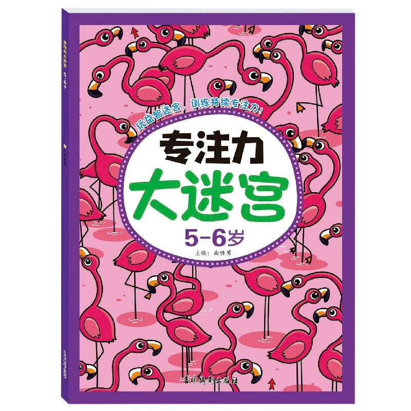 专注力大迷宫5-6岁