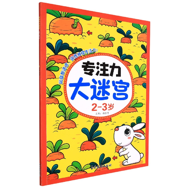 专注力大迷宫2-3岁