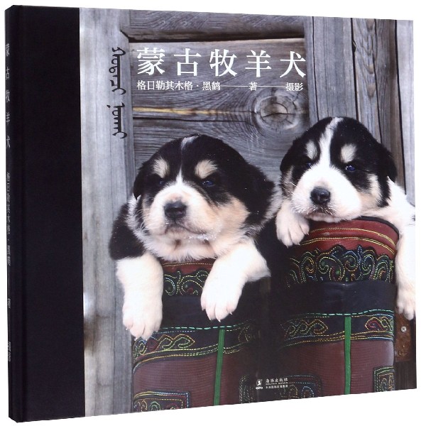 蒙古牧羊犬(精)