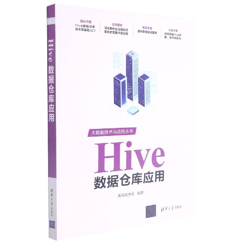 Hive数据仓库应用/大数据技术与应用丛书