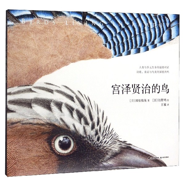 宫泽贤治的鸟(精)