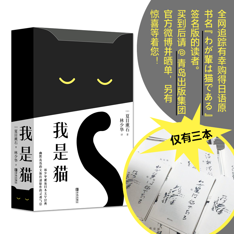 我是猫
