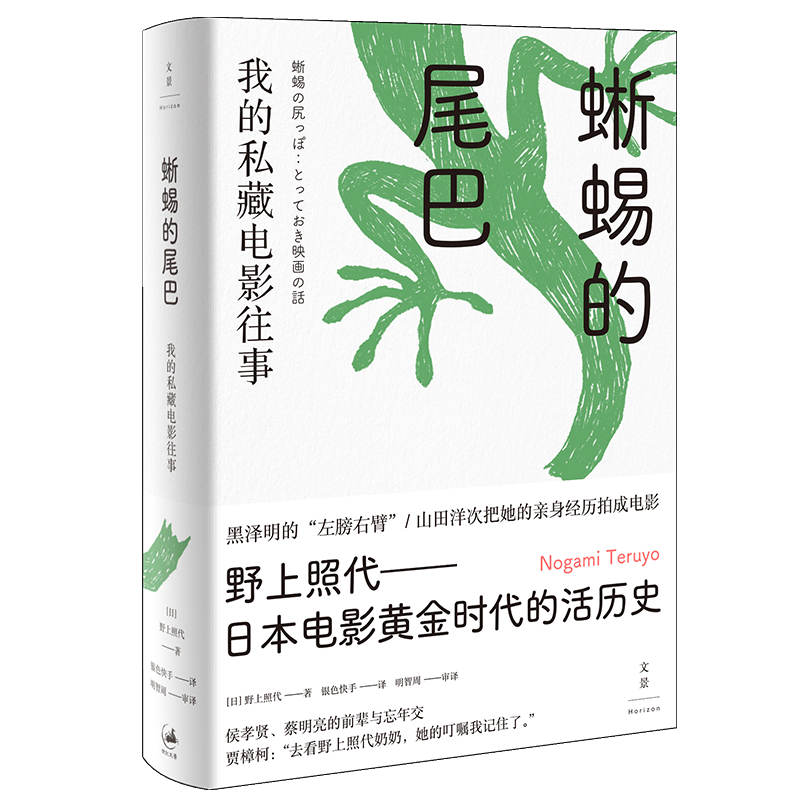 蜥蜴的尾巴(我的私藏电影往事)(精)